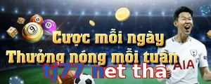 tj77 net tha